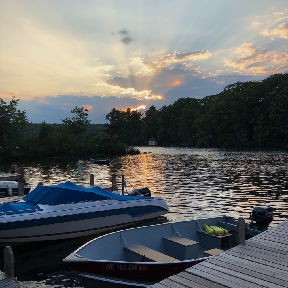 Meet your Posher, Phoebe